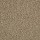 Philadelphia Commercial Carpet Tile: Multiplicity 18 X 36 Tile Plethora